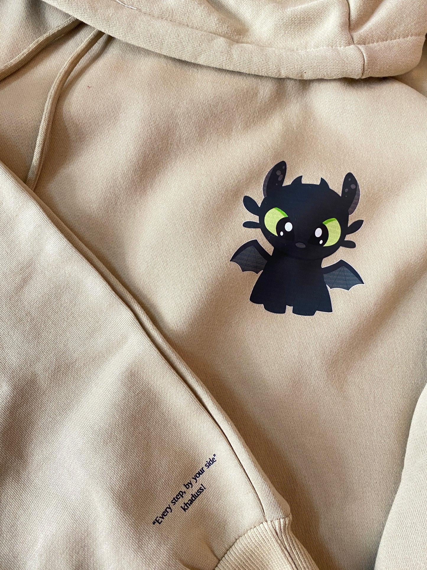 Pack of 2 : How To Train Your Dragons Printed Matching Hoodies with Printed Sleeves (Night and Light Dragons)