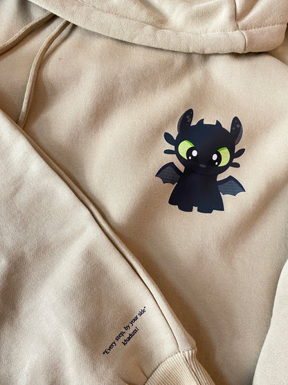 Pack of 2 : How To Train Your Dragons Printed Matching Hoodies with Printed Sleeves (Night and Light Dragons)