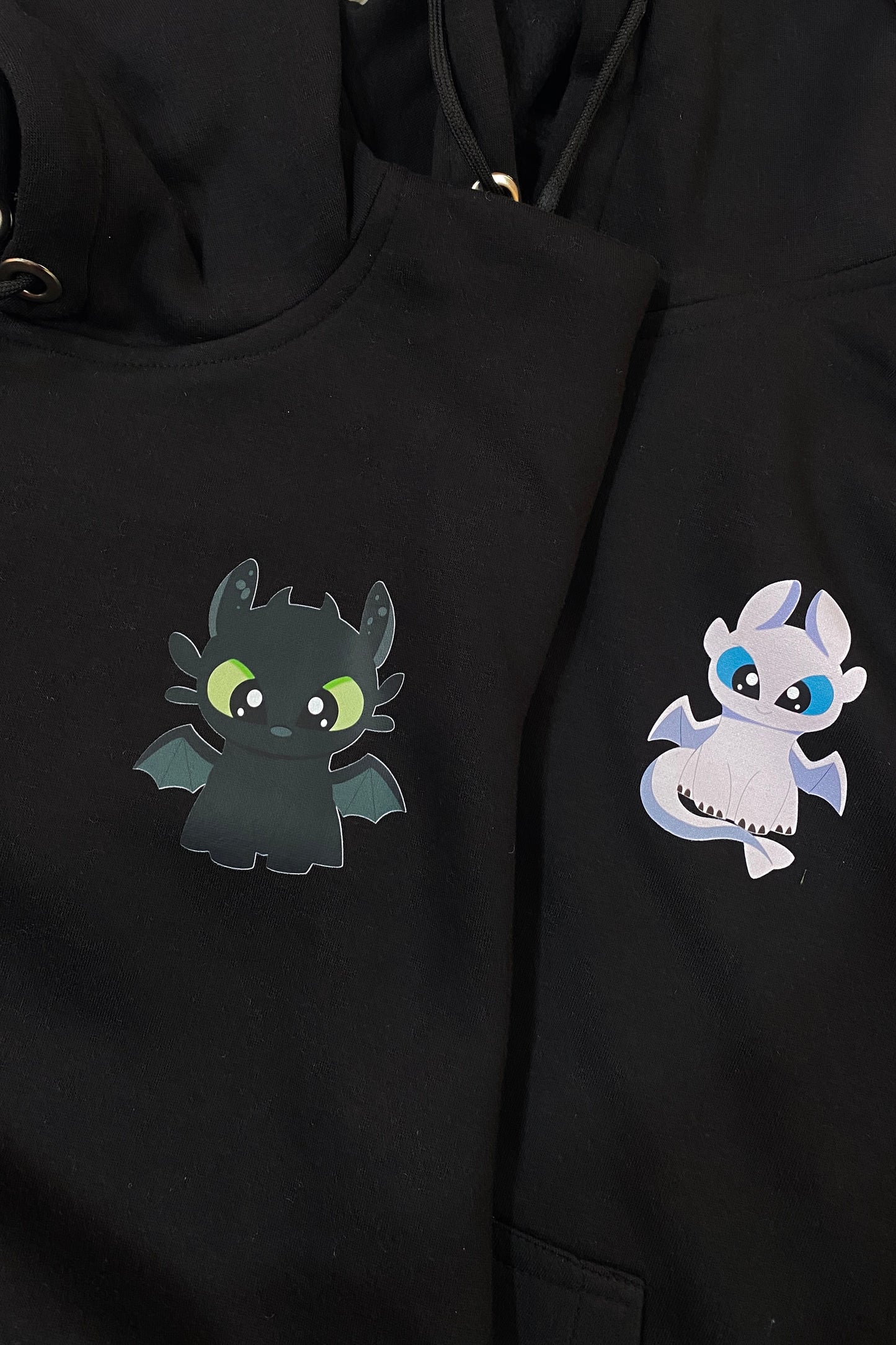 Pack of 2 : How To Train Your Dragons Printed Matching Hoodies with Printed Sleeves (Night and Light Dragons)